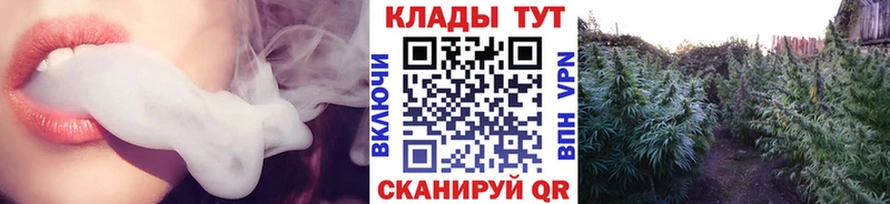 Где продают наркотики Губкинский Амфетамин  APVP  Марихуана  Меф мяу мяу  Галлюциногенные грибы  Кокаин 