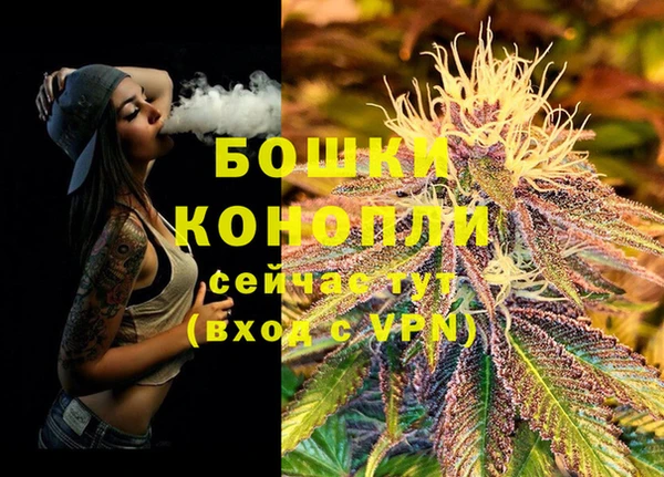 спиды Бердск