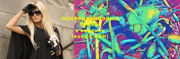 спиды Бердск