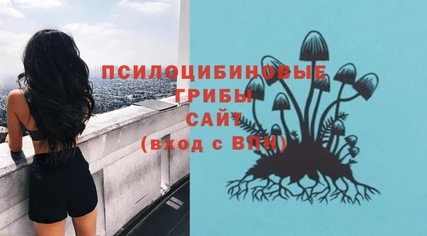 спиды Бердск