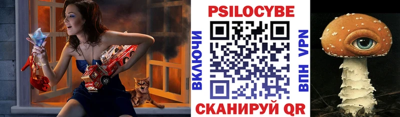 мега зеркало  Губкинский  Псилоцибиновые грибы Magic Shrooms 