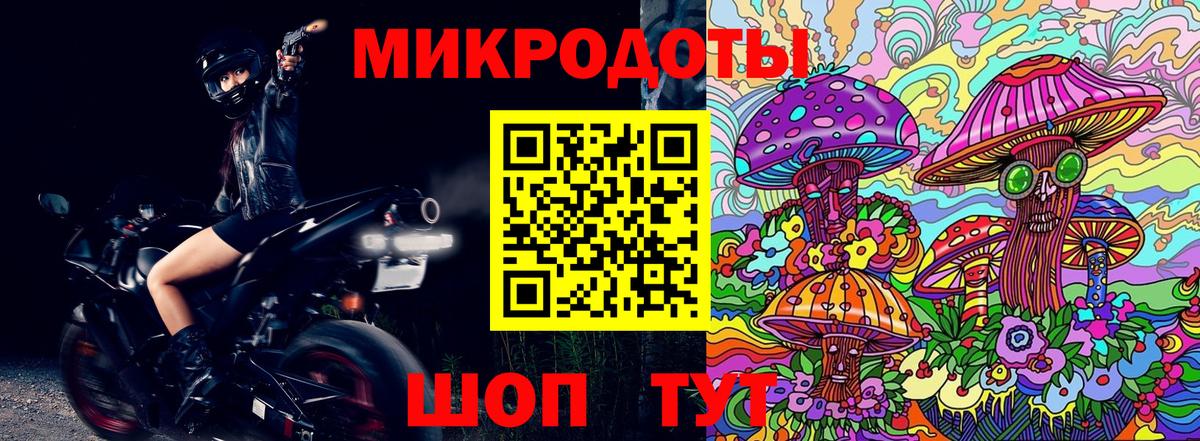 Псилоцибиновые грибы Psilocybine cubensis  Вход с VPN  Губкинский 