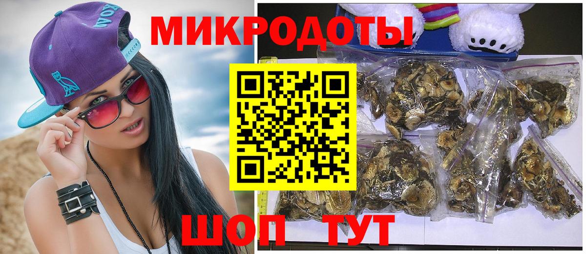 Галлюциногенные грибы Psilocybine cubensis Губкинский