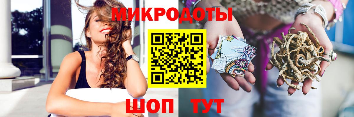 Галлюциногенные грибы Magic Shrooms  Губкинский  Псилоцибиновые грибы Psilocybe 